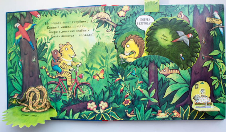 Не сонный мишка