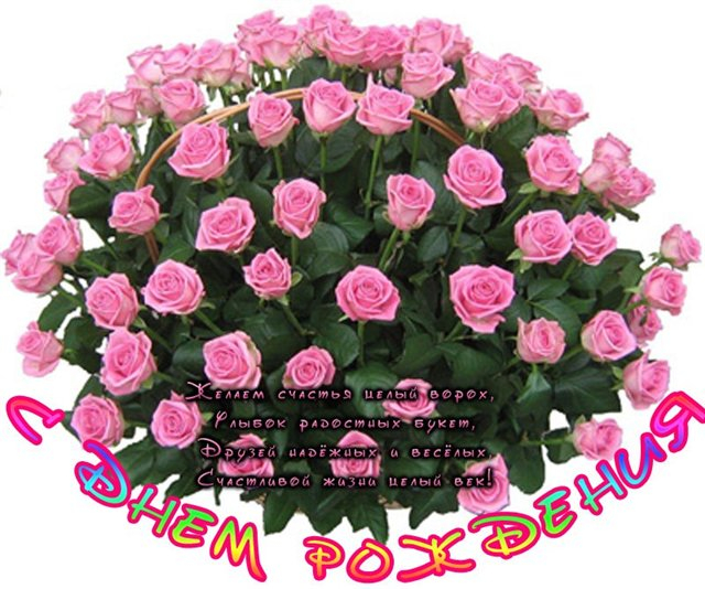 5e045d4e7183c3acfdb2296d77412b10.jpg