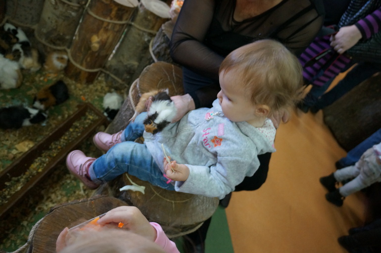 на память. 1.6