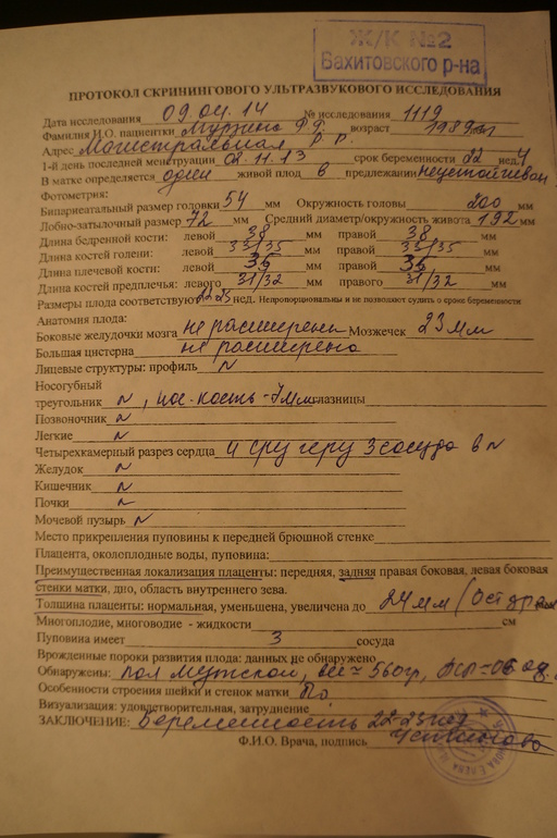 23 неделя. УЗИ