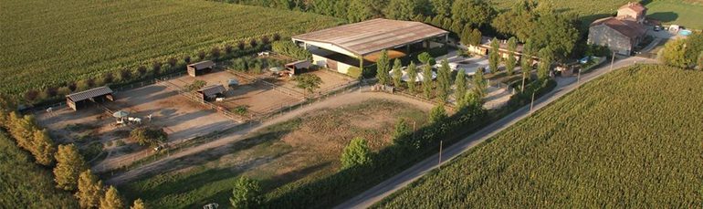 Наша школа пони