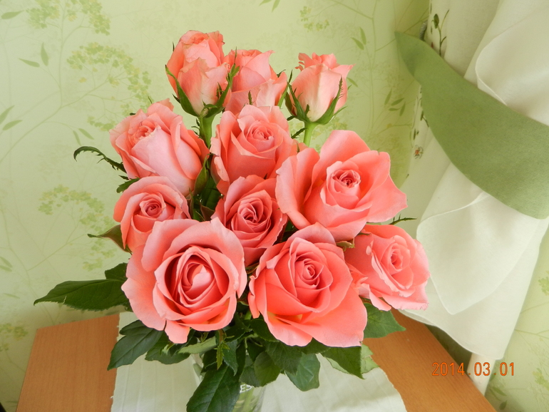 Лето _ Home, Sweet Home