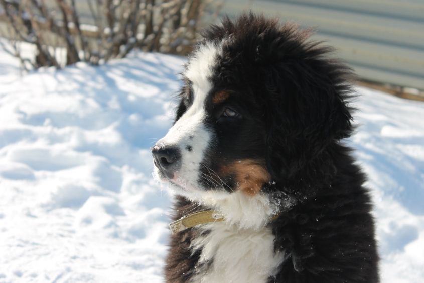 Ричард и все все все)))