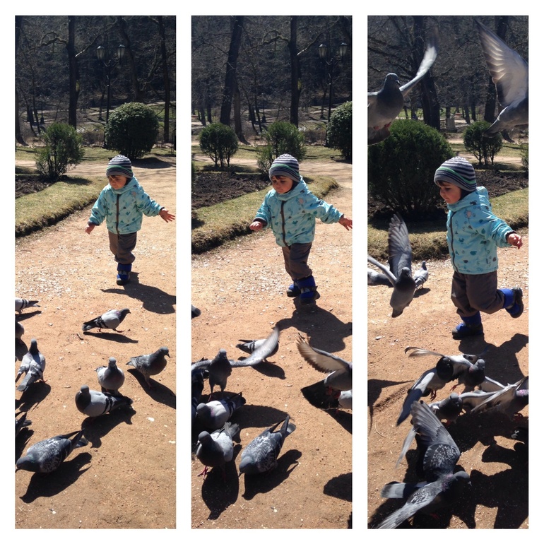 Фотопрогулки