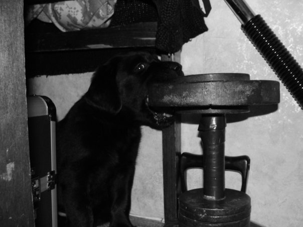 решила вспомнить))