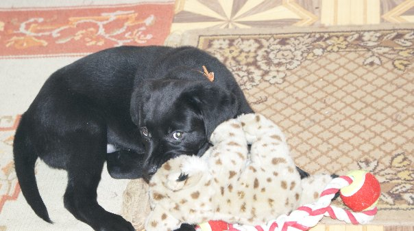 решила вспомнить))