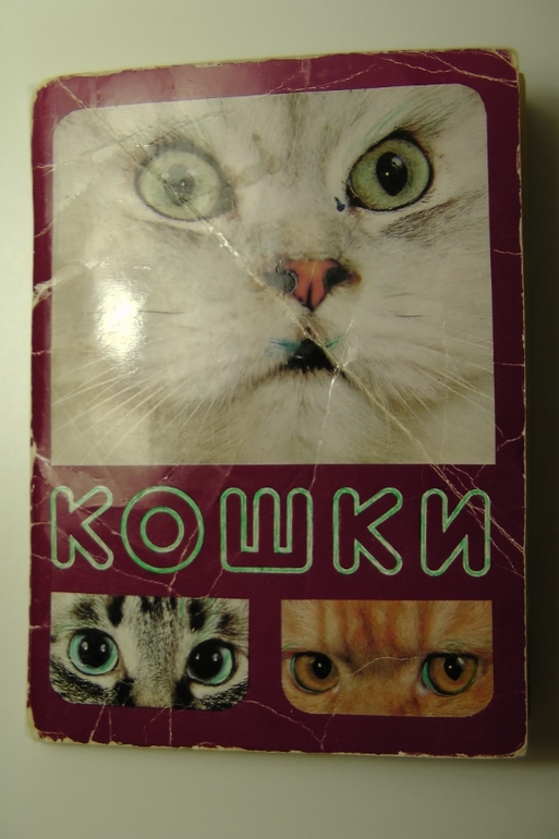 Вот такой вот