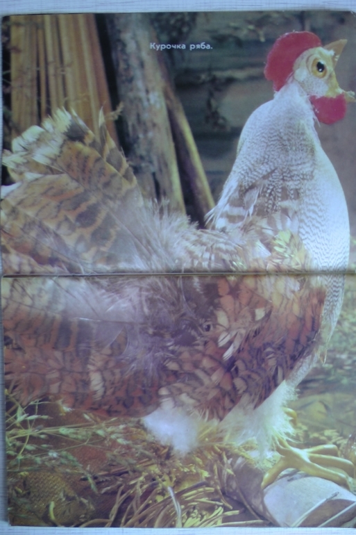 Привет из советского детства. Часть 2: подарок ко Дню Рождения!!!