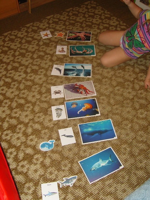 ТН Море. День 2