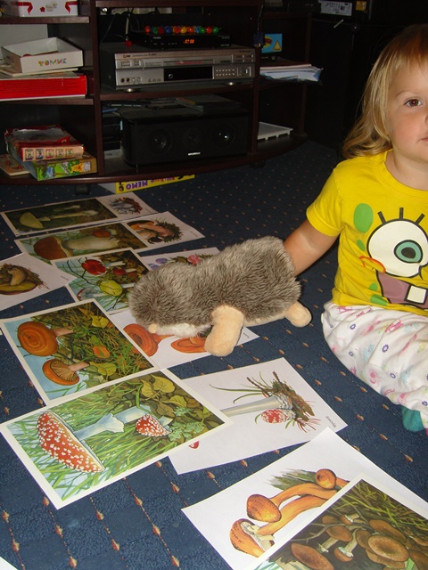 День 2. ТН Осень. Грибы