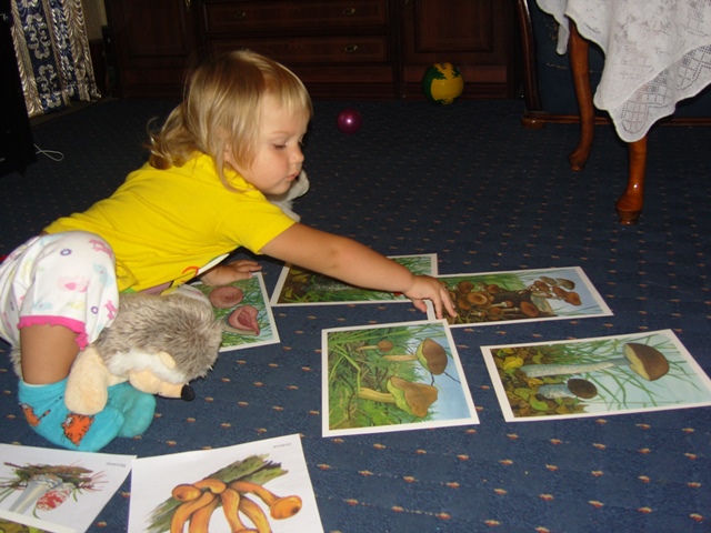 День 2. ТН Осень. Грибы