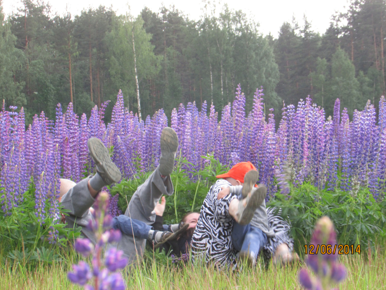 Работка и Д/Рэшки