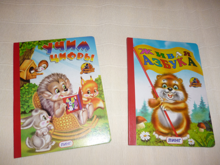 Наше пополнение книг. Сыну 2,7