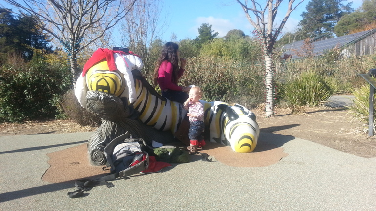 Год и два дня Дже решил, что он предпочитает ходить