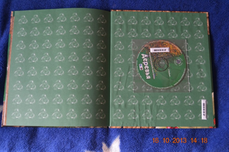 dfd9d4c1d2800cb6587e582567a65ebc.jpg