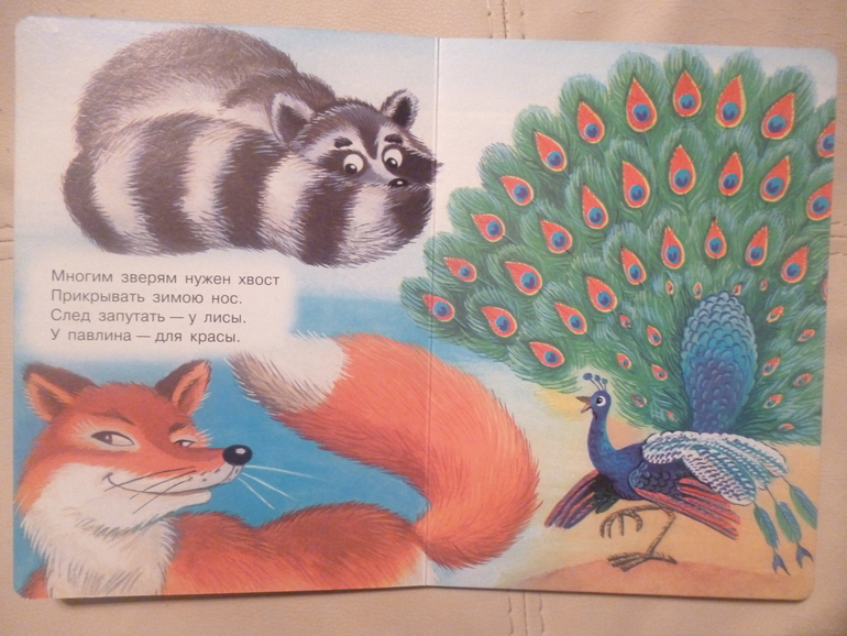 Картонные книжки для малышей