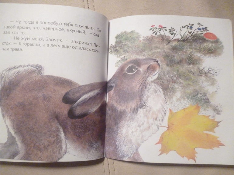 Чарушинские зверята (подробные фото и отзыв)