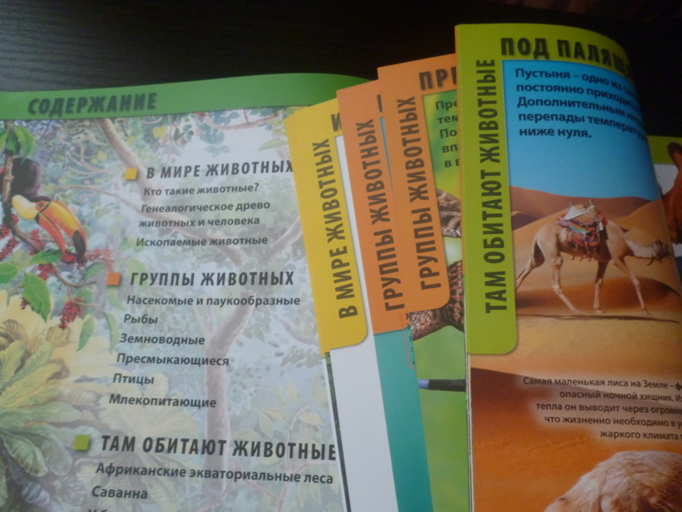 Энциклопедии про животных