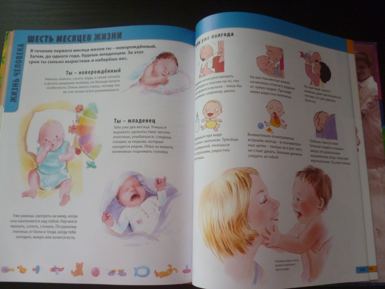 Энциклопедии про животных