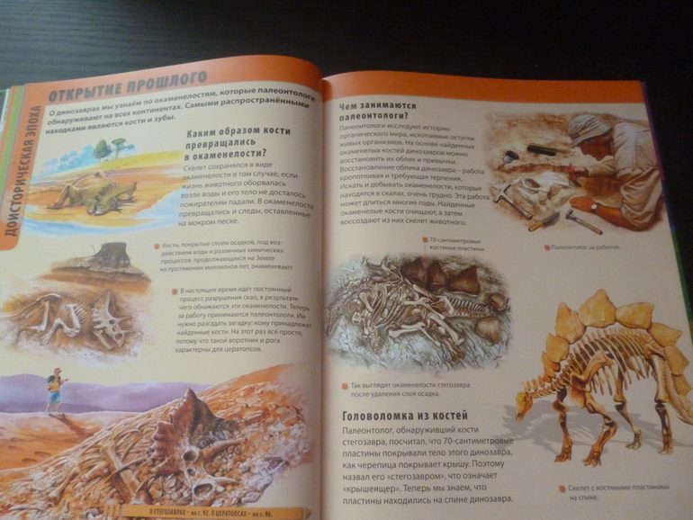 Энциклопедии про животных