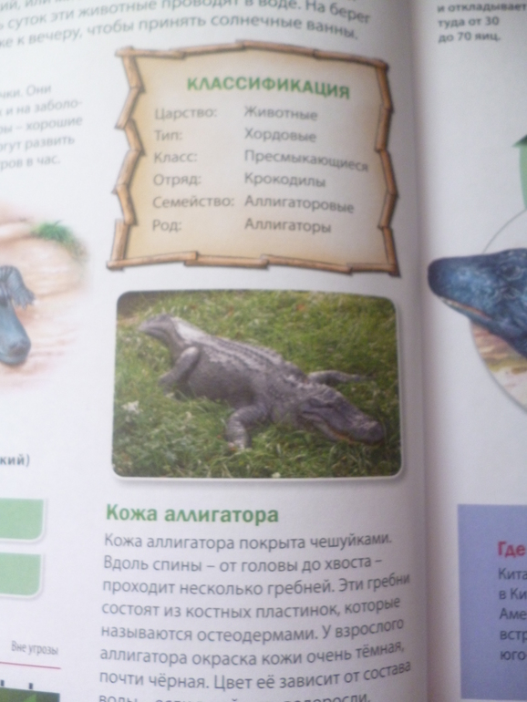 Энциклопедии про животных