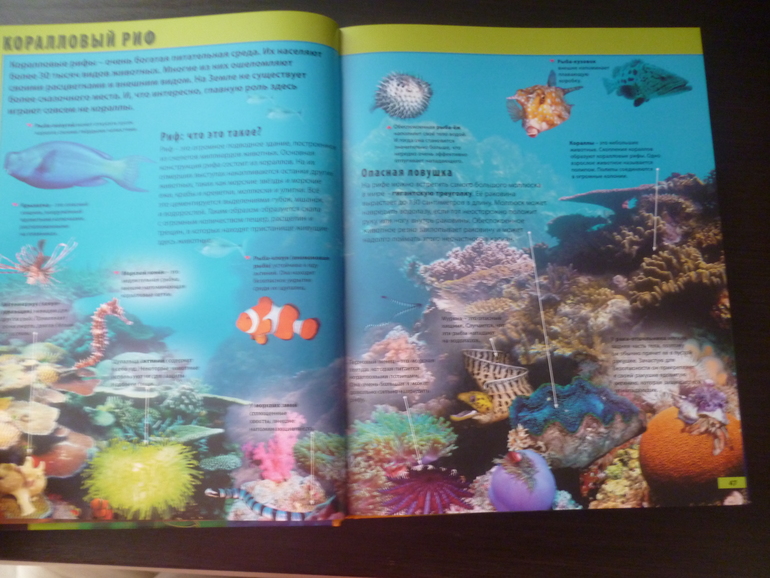 Энциклопедии про животных