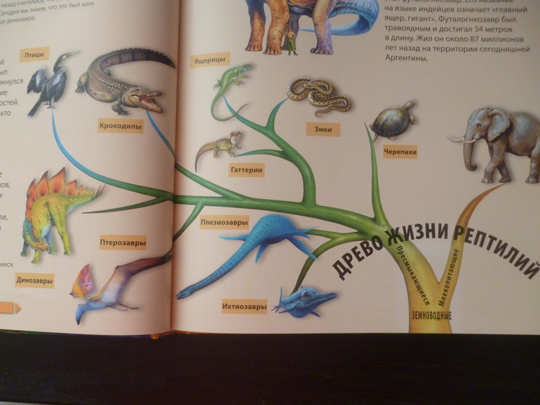 Энциклопедии про животных