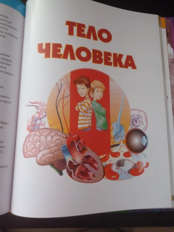 Энциклопедии про животных