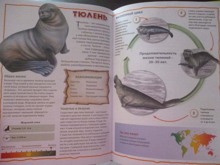 Энциклопедии про животных