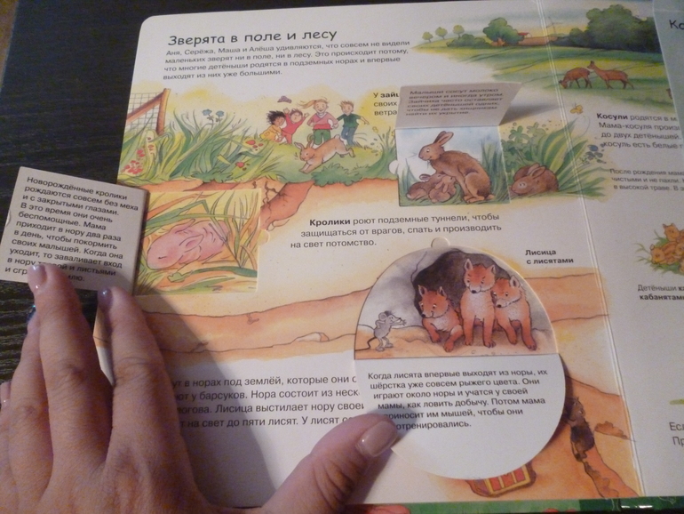 Энциклопедии про животных