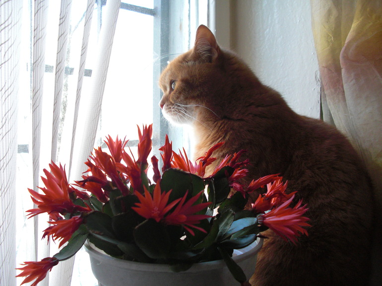 коротко обо мне)))