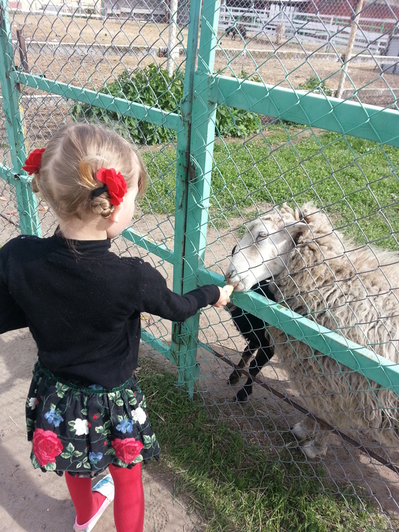Были мы в зоопарке...