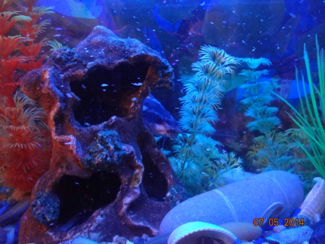 Наши долгожители