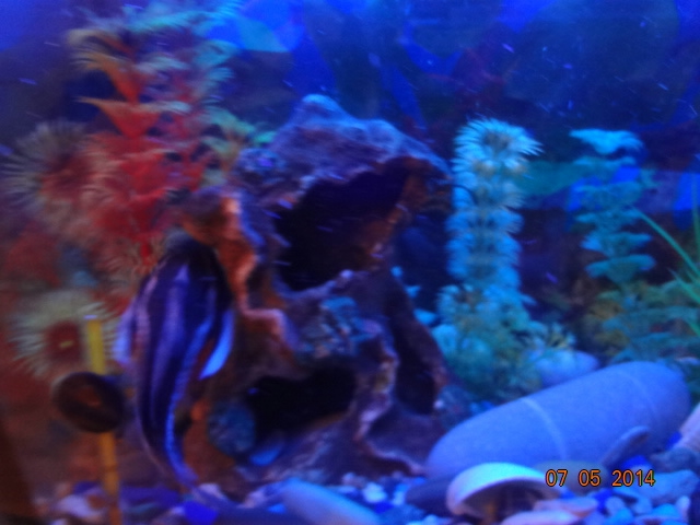 Наши долгожители