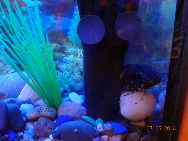 Наши долгожители