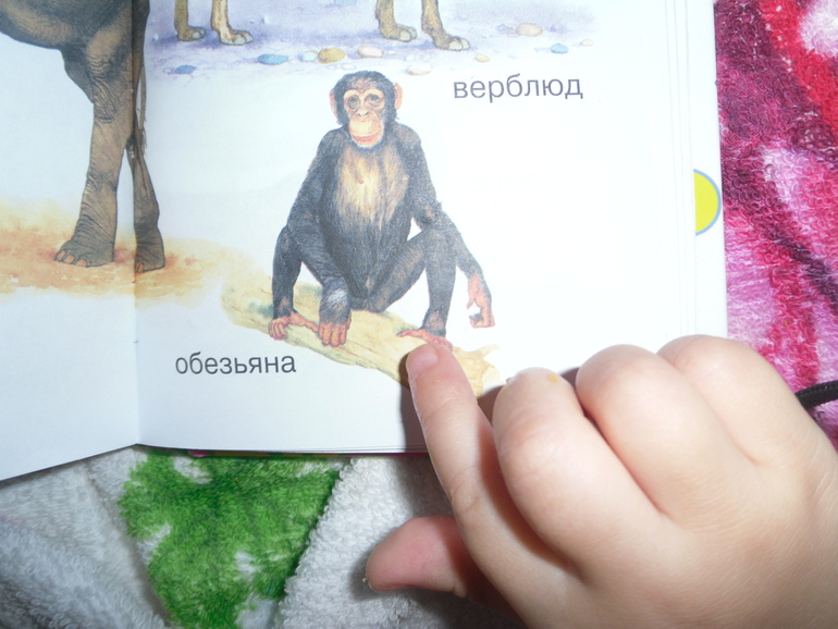 Оладьи с обезьянами