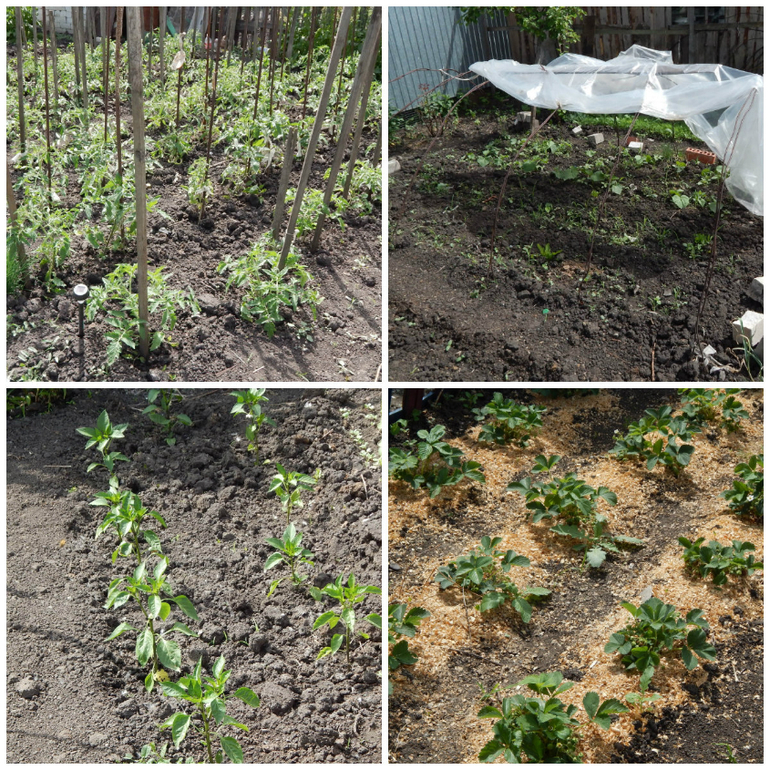 Занималки.Лето