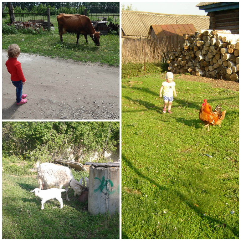 Занималки.Лето