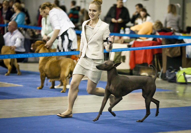 Хорош Арно!