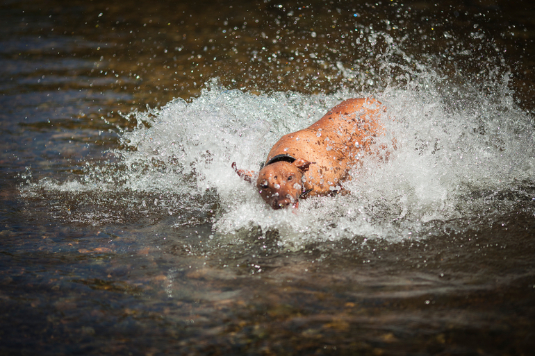 Вот так весело на речке!
