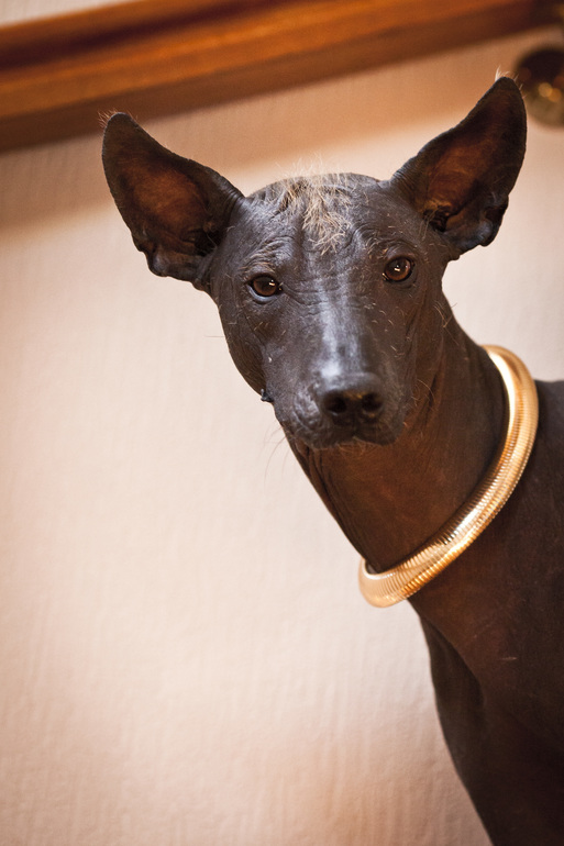 Портретик моего любимого мексиканца))