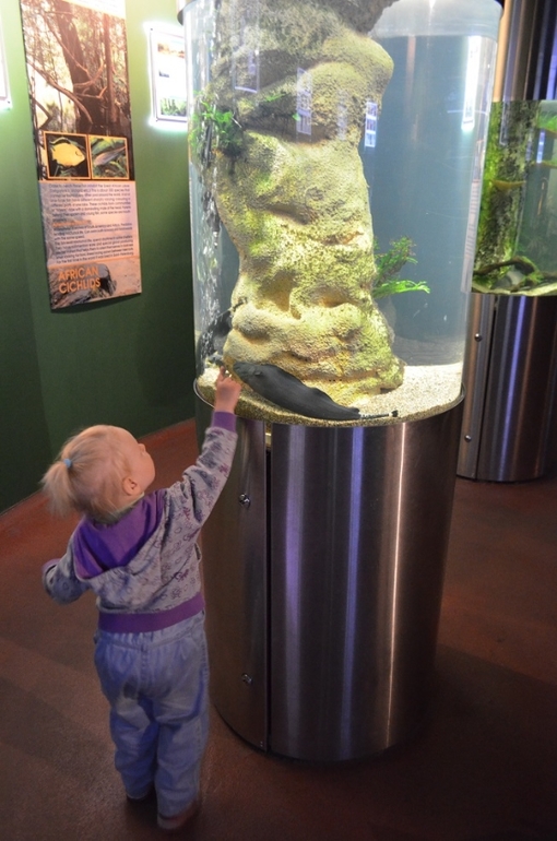 Санкт-Петербург, 7 - 14 июня 2014 год