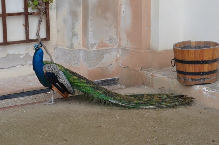 Прага 12-19 апреля 2014 год