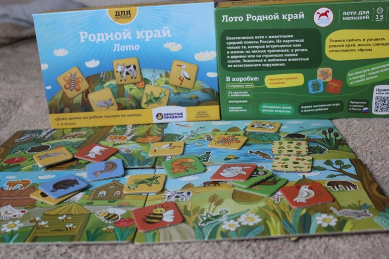 игра теневое лото насекомые. дважды два четыре или пять. правила лото с бочонками. лото проще чем дважды два архив. краеведческая настольная игра.