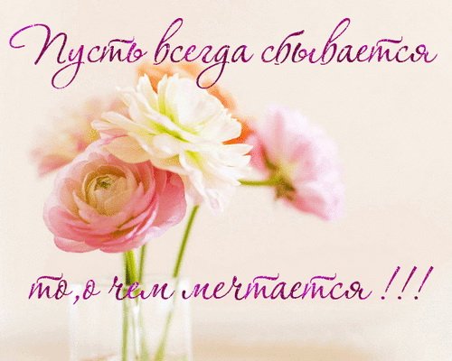 8cd22eb498efd93dcd0e456c1fee1a86.jpg