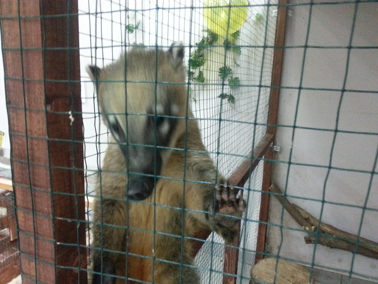 Контактный зоопарк