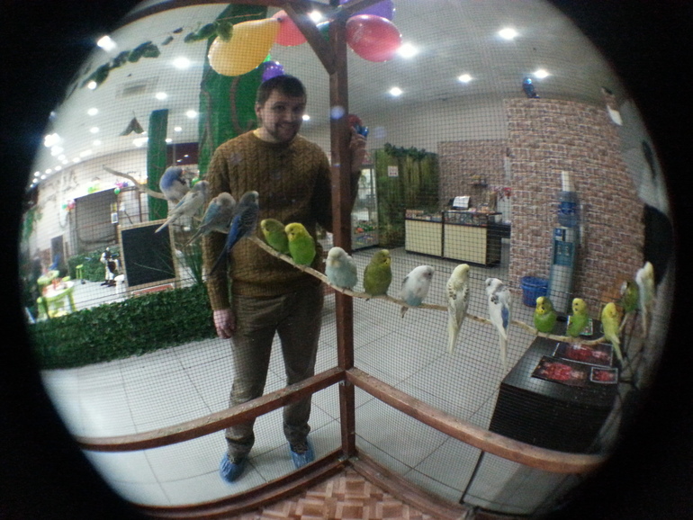 Контактный зоопарк