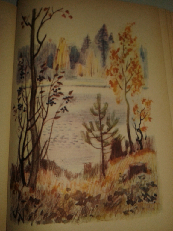 Галина Новицкая