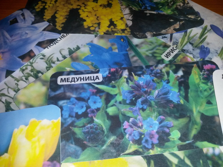 Карточки с цветами