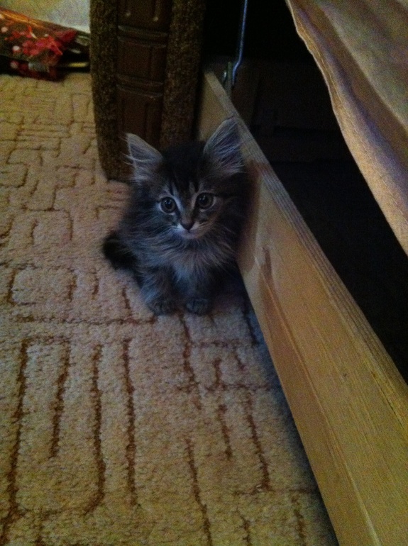 Маленькое чудо)